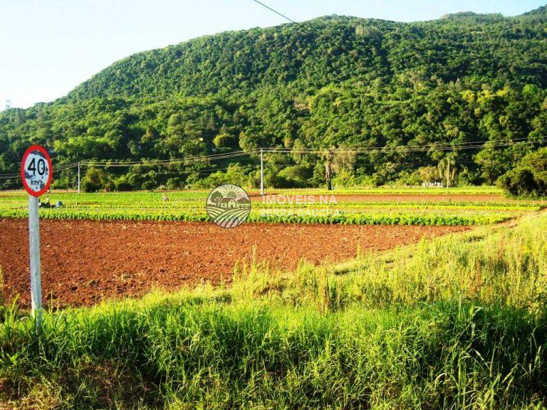 CHÁCARA LINHA TEMERÁRIA-NOVA PETROPOLIS