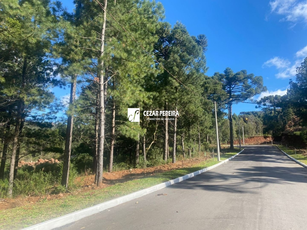 TERRENO EM GRAMADO-RS