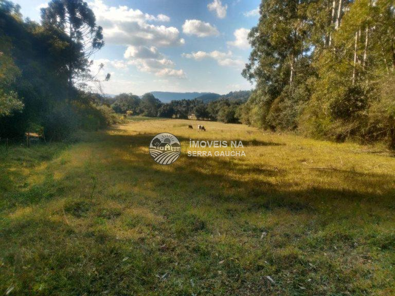 CHÁCARA LINHA ARARIPE- NOVA PETROPOLIS-RS