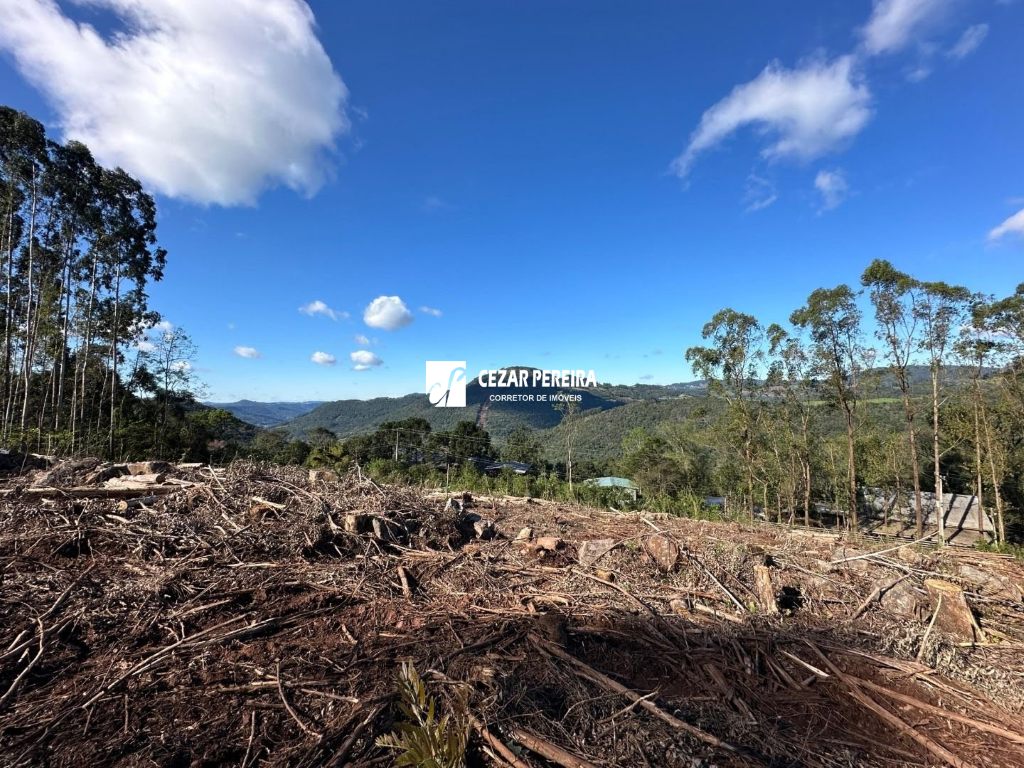 AREA DE TERRAS EM CARLOS BARBOSA-RS