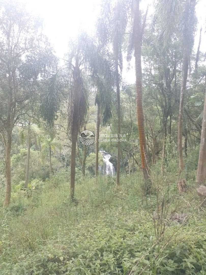 CHACARA BAIRRO KAISER-CAXIAS DO SUL-RS