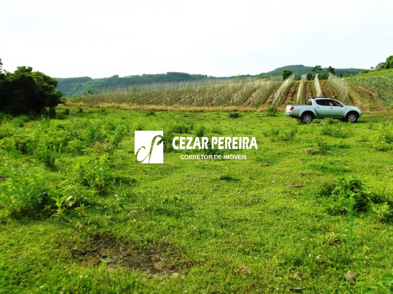 EXCELENTE ÁREA DE TERRAS EM CAXIAS DO SUL