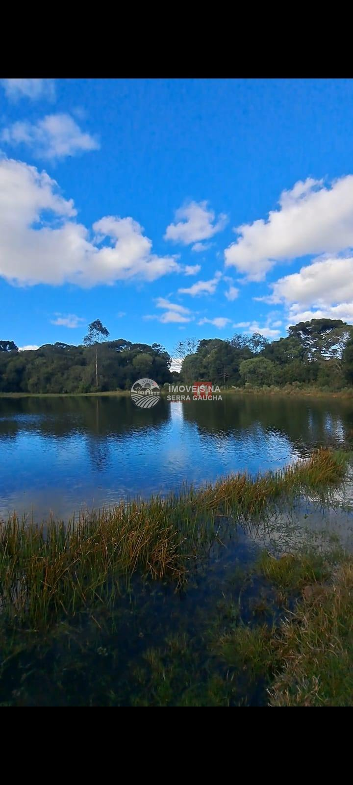 SITIO EM VILA SECA - CAXIAS DO SUL-RS