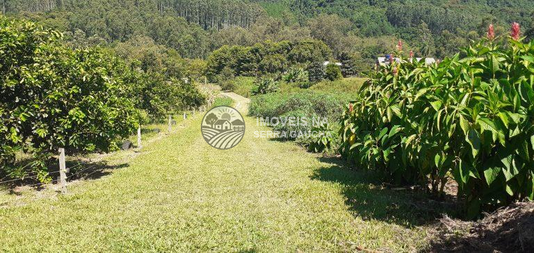 SITIO EM PICADA CAFÉ-RS